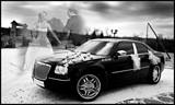 2010-01-31