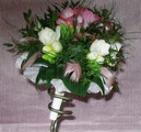 2010-01-31