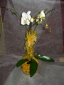 2010-01-31