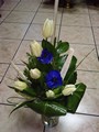 2010-01-31