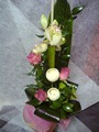 2010-01-31