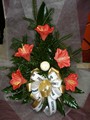 2010-01-31