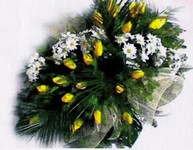 2010-01-31