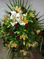2010-05-03